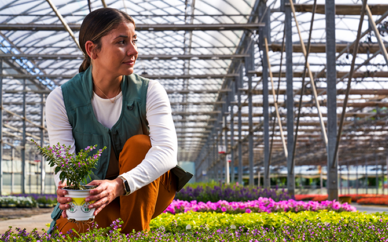 woman tending to flowers