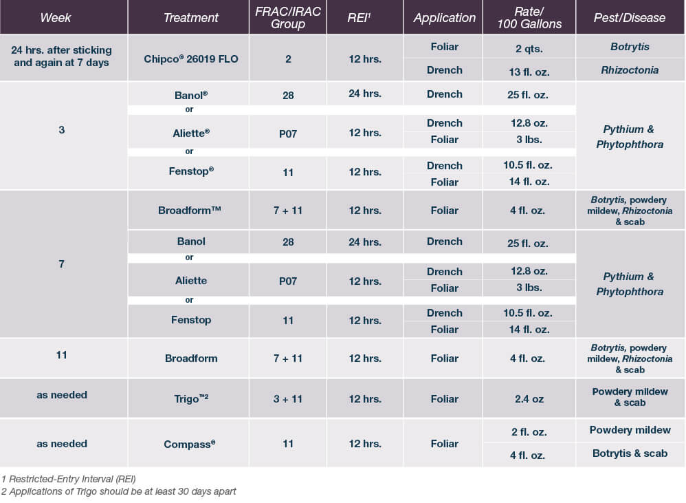 recommendation chart