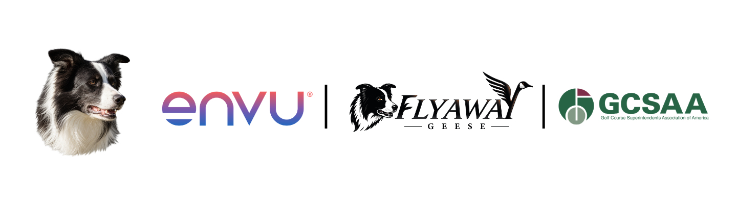 envu flyaway geese gcsaa