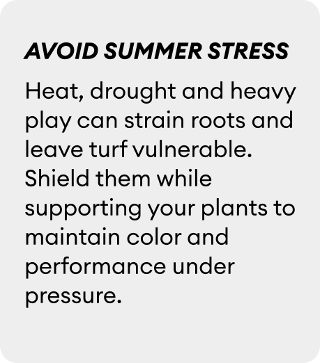 avoid summer stress