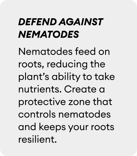 defend against nematodes