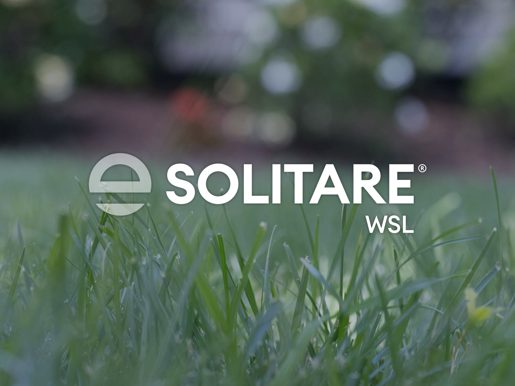 solitare wsl