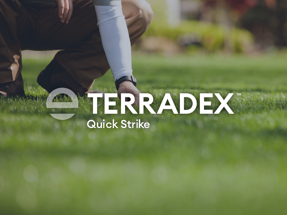 terradex quick strike 