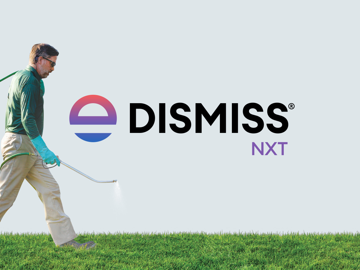 dismiss nxt