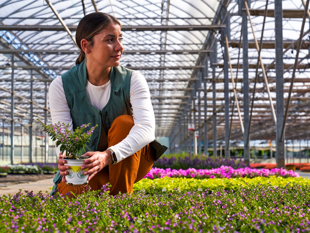 woman holding plant in greenhouse 