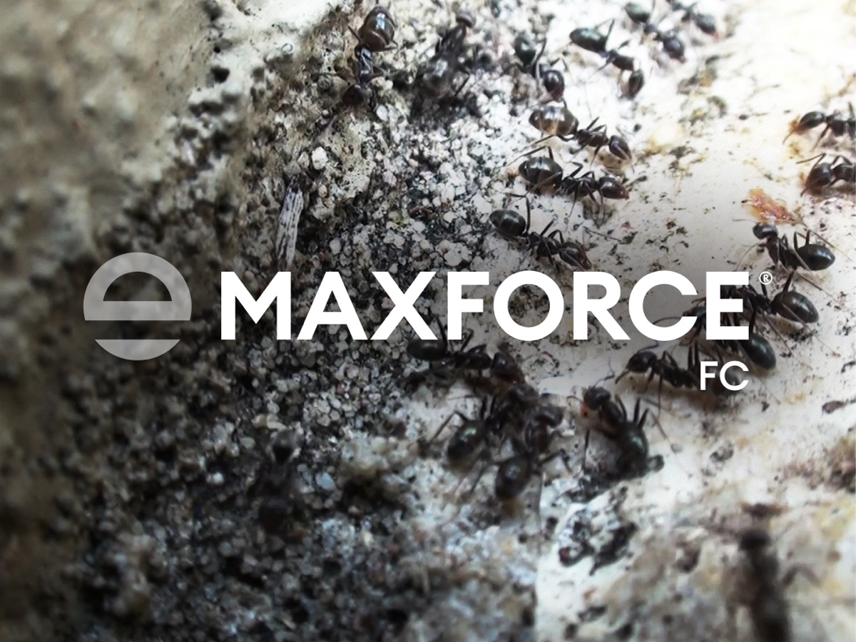 maxforce fc