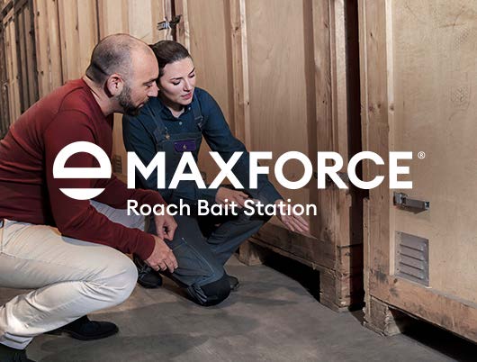 maxforce roach bait station