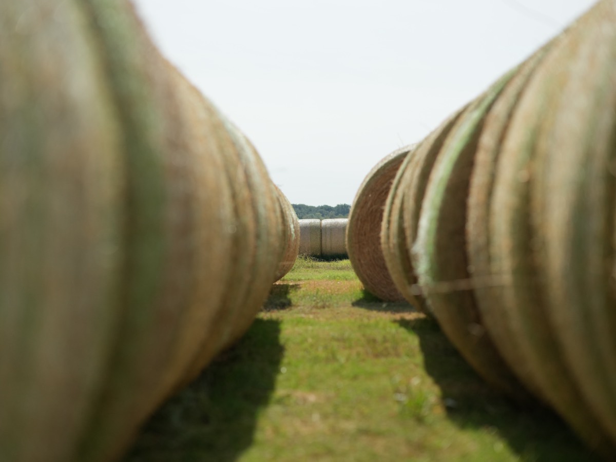 hay bales