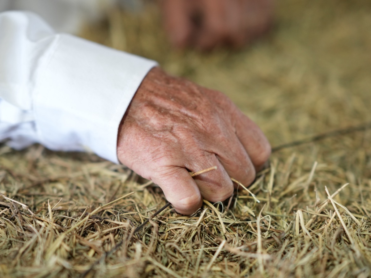 hand touching hay