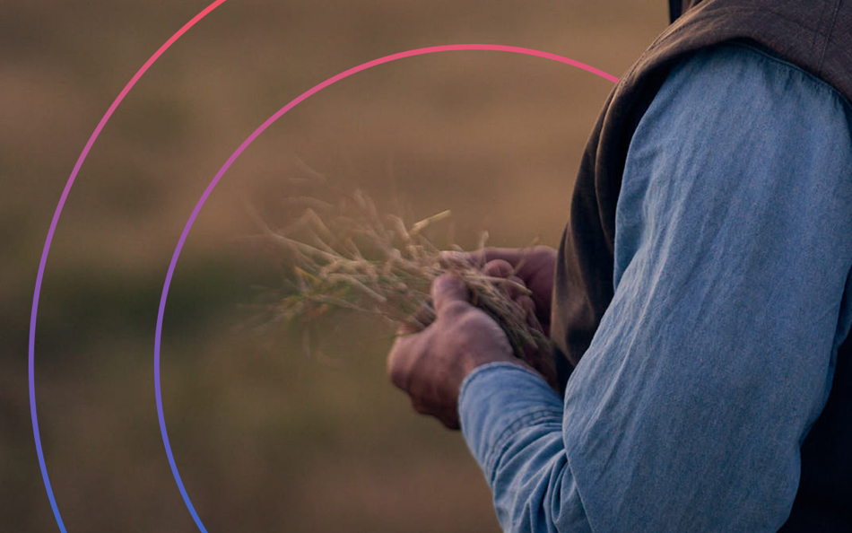 gradient circle outline 