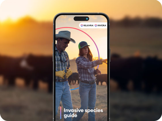 invasive species guide thumbnail