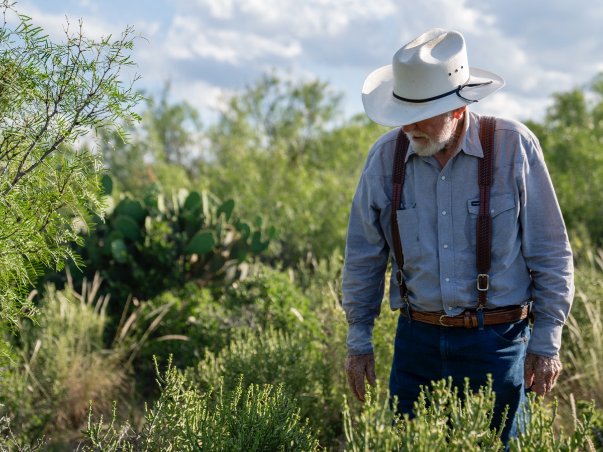 man walking through green brush