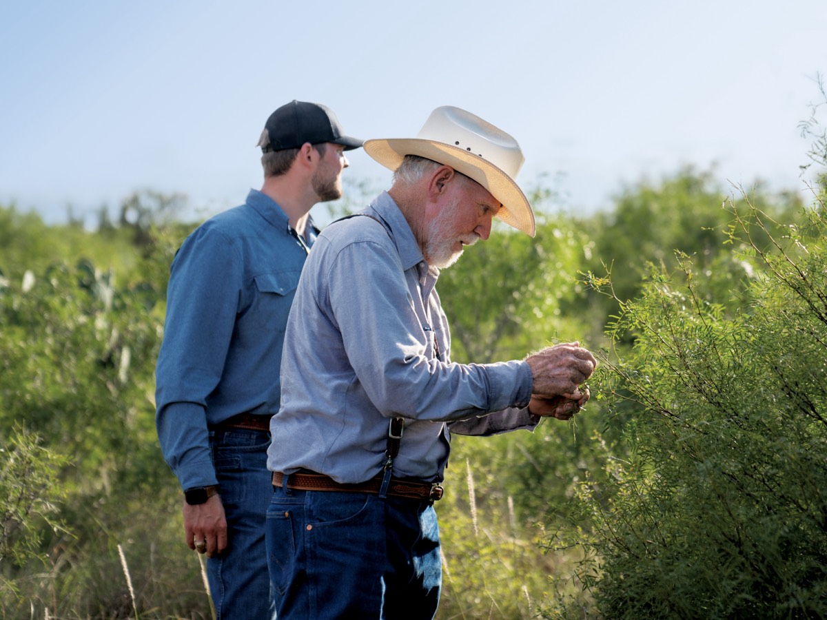two men looking at green brush