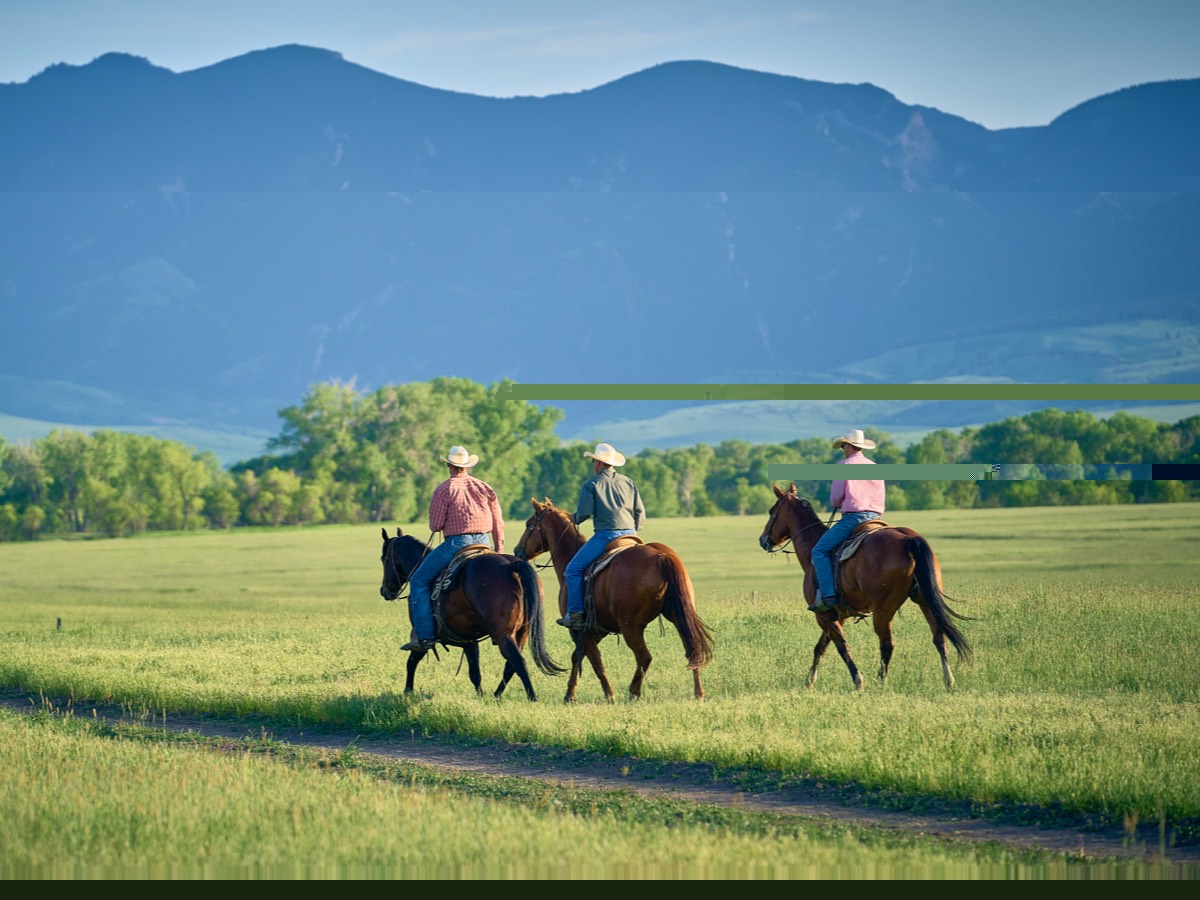 three people riding horses in green pasture near mountains