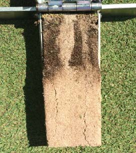 sand incorporation to create channels through organic layers improves water infiltration