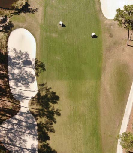Stressgard formulated fungicides enhance chlorophyll and photosynthesis of stressed turf and create greener healthier conditions