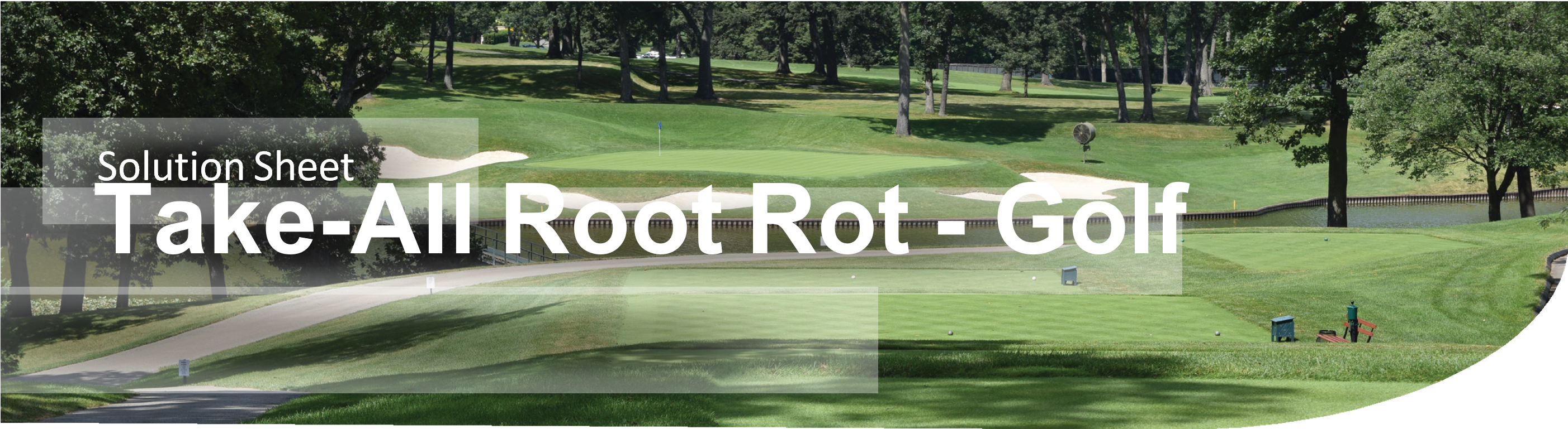 solution sheet take all root rot golf