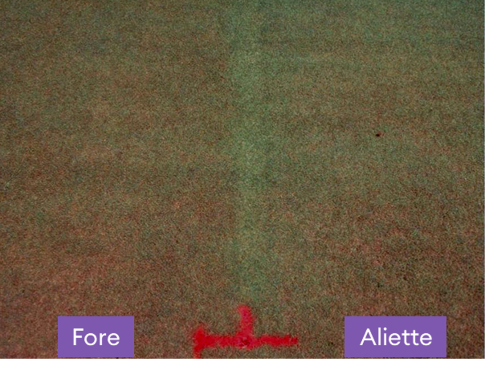 early trial work with fosetyl al