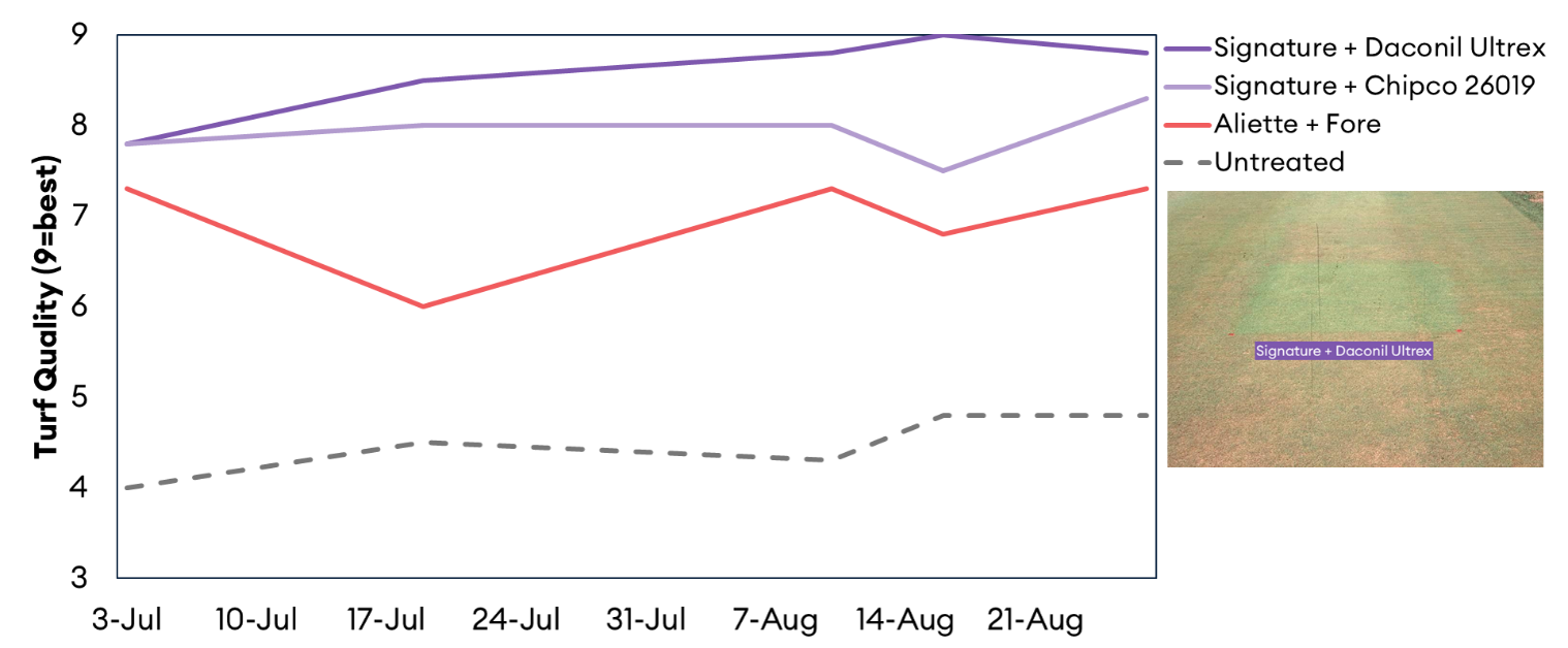 product comparison chart