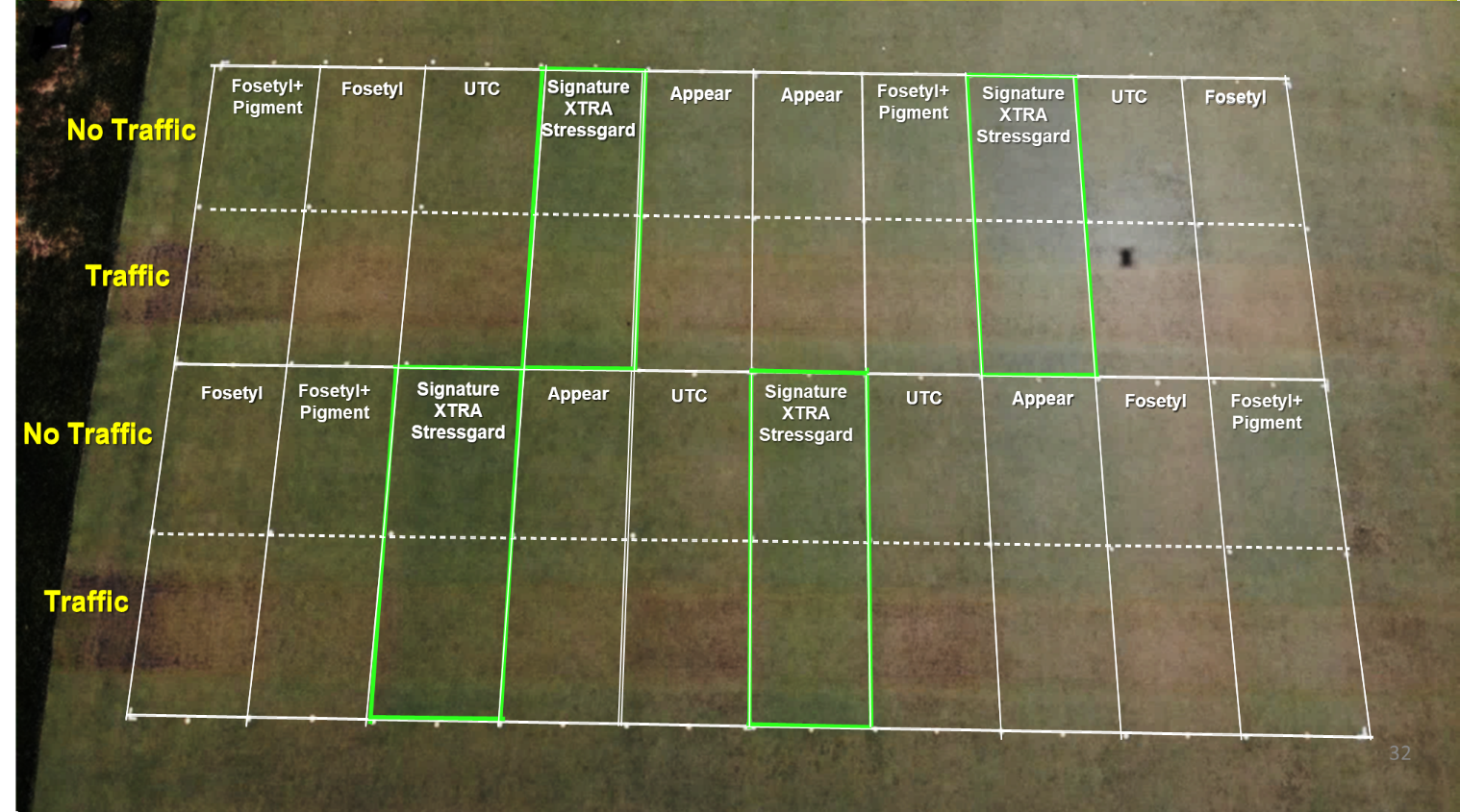 turf trial plots