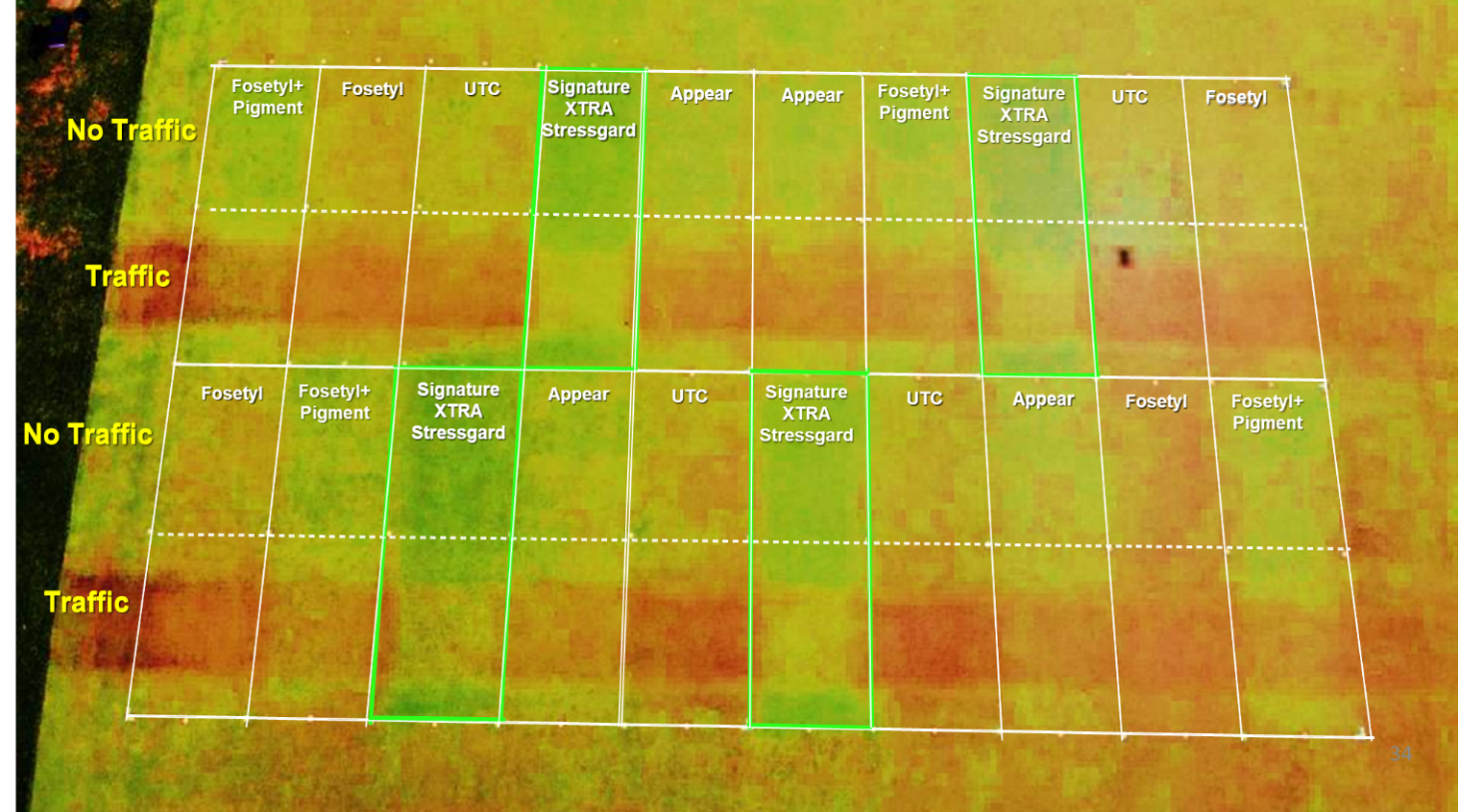 trial plots