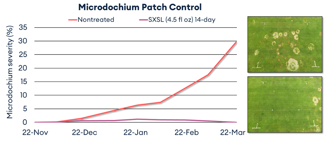microdochium patch control trial