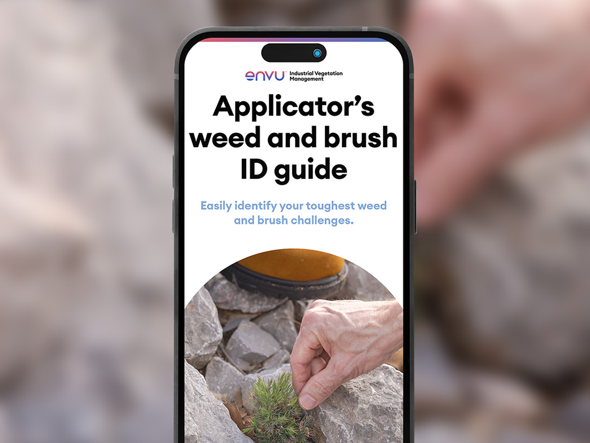 thumbnail applicators weed and brush id guide