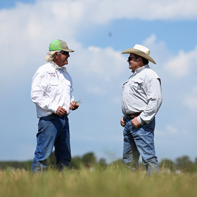 two men standing talking in field