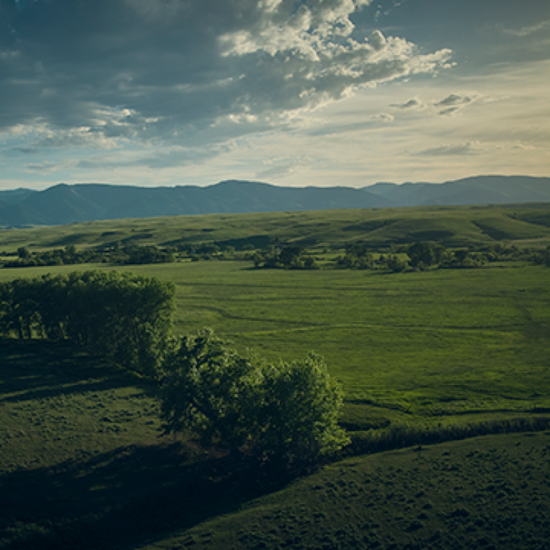 green landscape ranch view