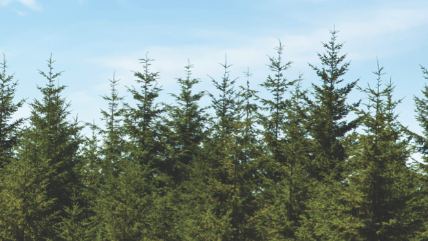 Positive environmental impact
