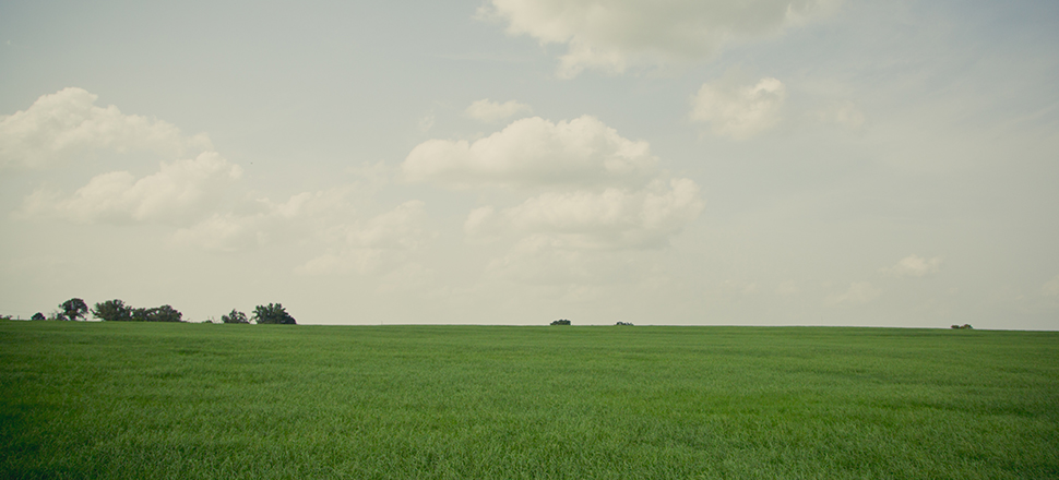 Green Field