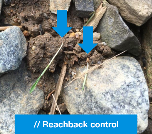 reachback control