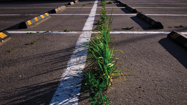 Post Emergent Herbicide