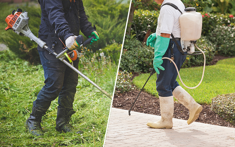 spring weeds application