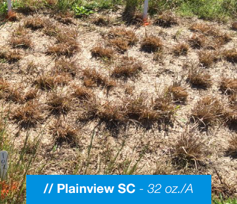 Treated vegetation