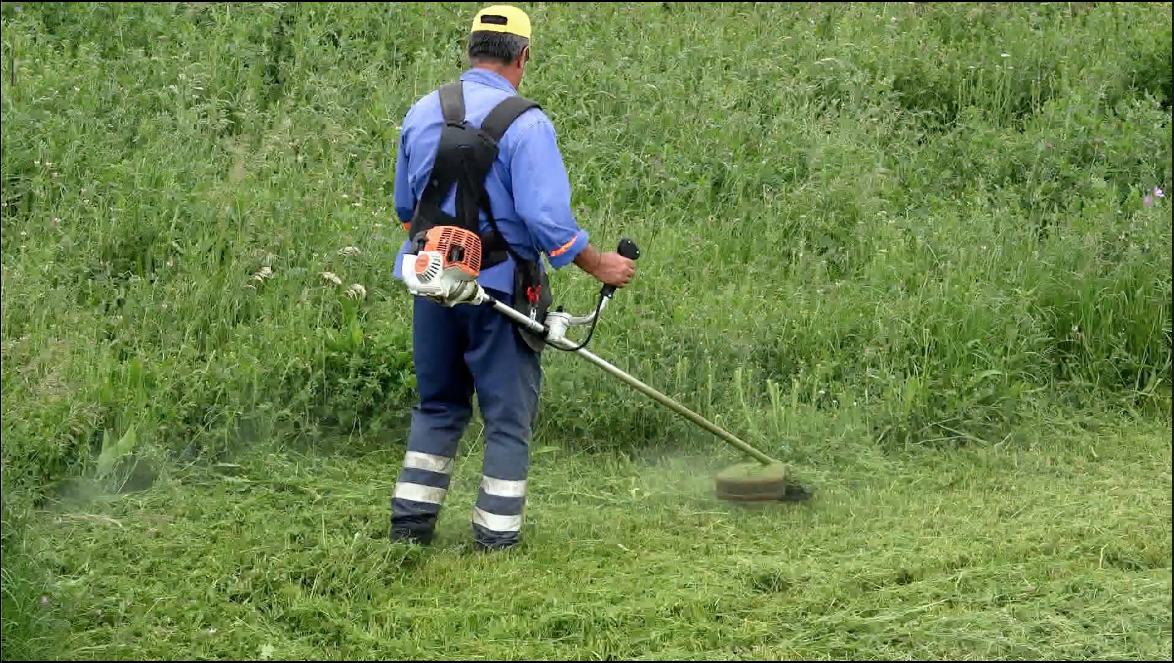 weed eating