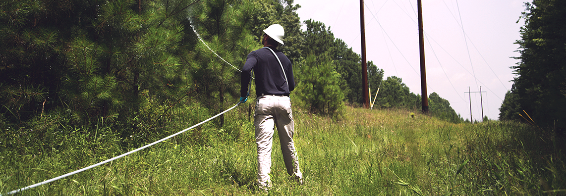 applicator vegetation powerlines