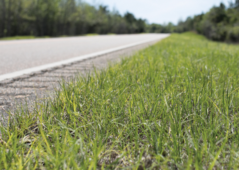 Esplanade + Method + Glyphosate