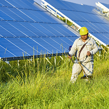 technician fielding solar farm