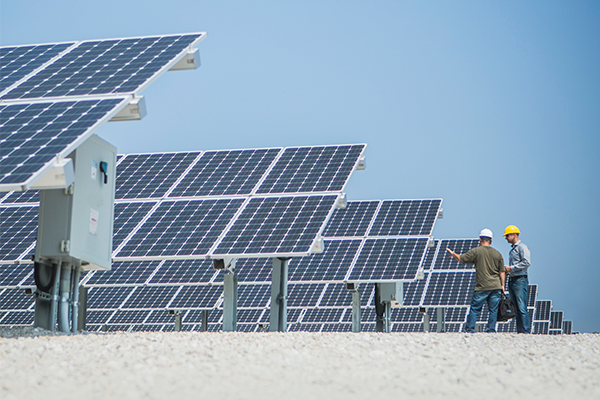solar farm