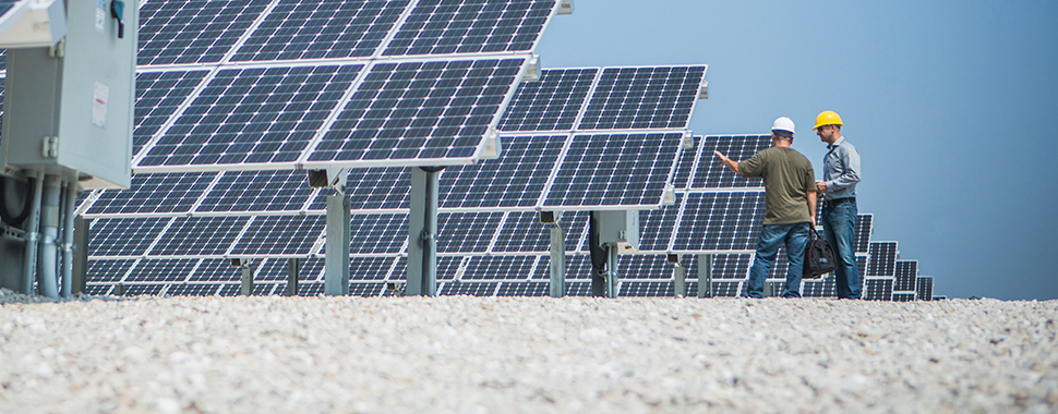 solar farm