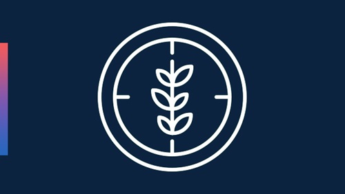 IPT Icon