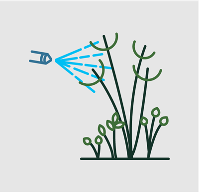 foliar sprays