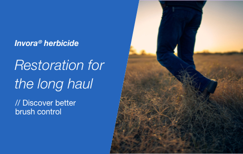 text invora herbicide restoration for the long haul cta discover better brush control