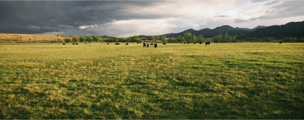 Rangeview