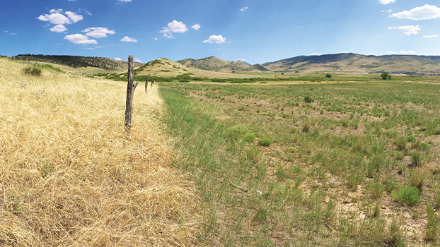 return on land