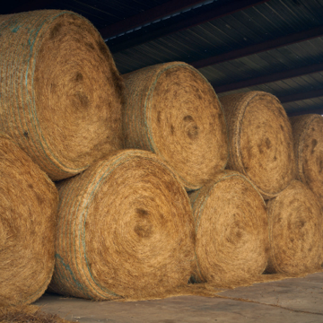 stacked haybales