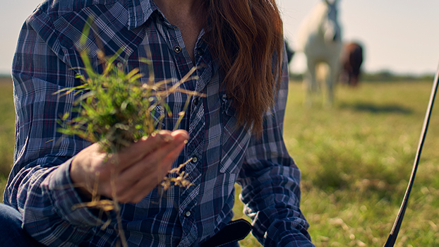 raising strong and healthy crop
