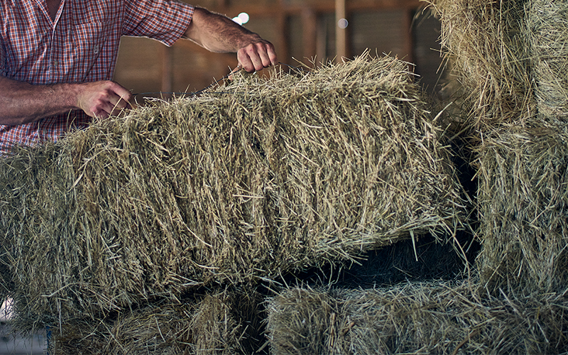 hay bales