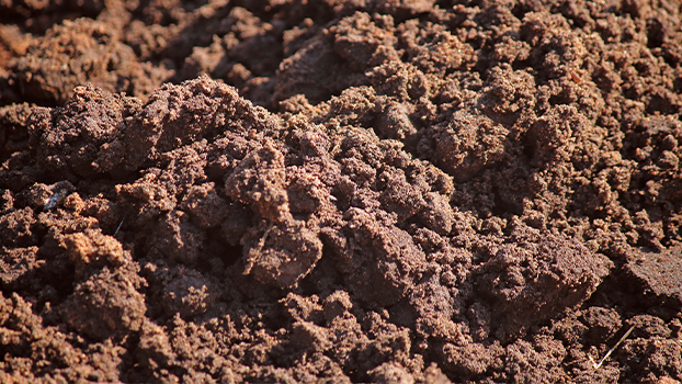 soil disturbance